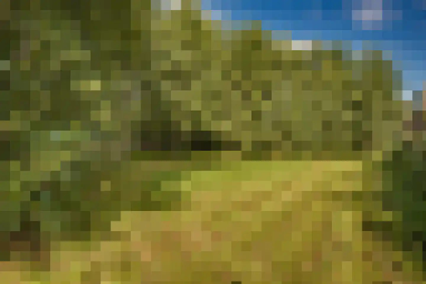 Gansoyen 39 Drongelen thumbnail 67