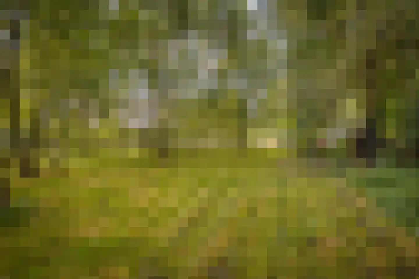 Gansoyen 39 Drongelen thumbnail 68