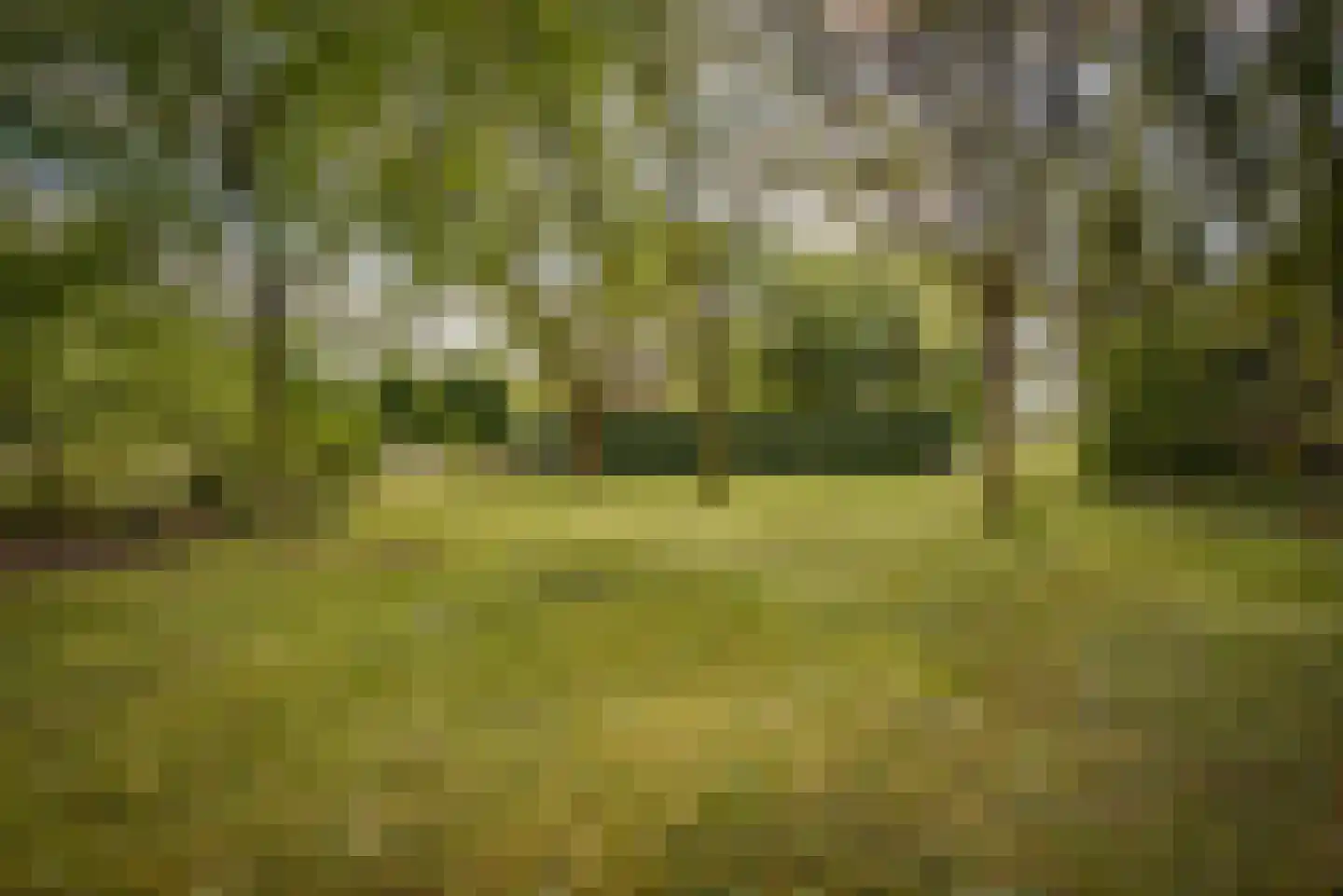 Gansoyen 39 Drongelen thumbnail 69