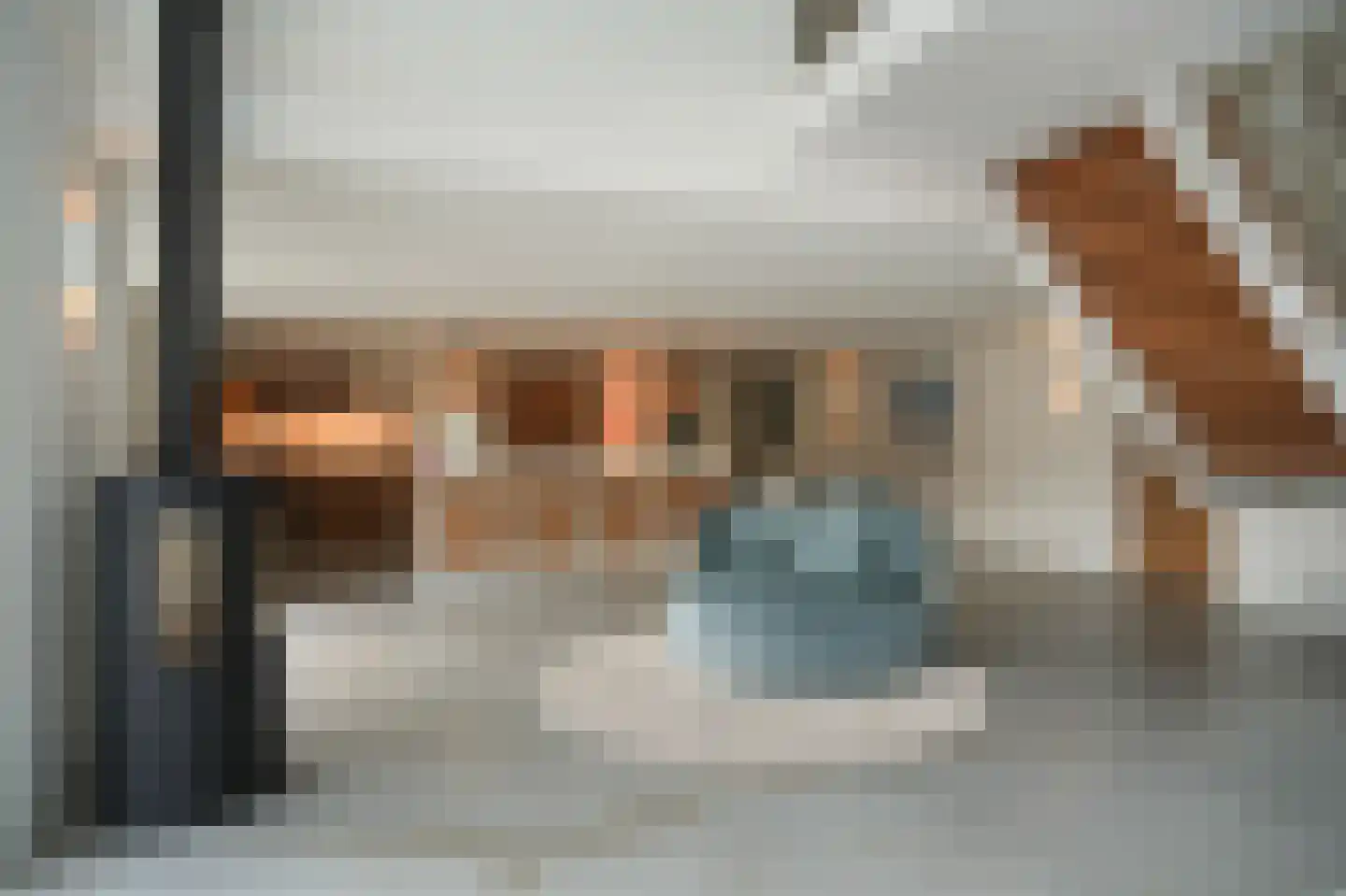 Gansoyen 39 Drongelen thumbnail 7