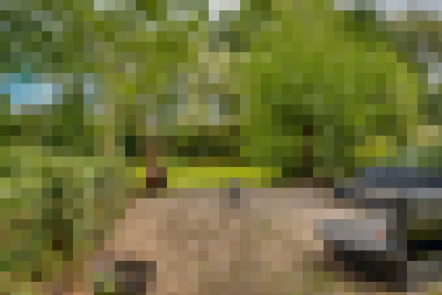 Gansoyen 39 Drongelen thumbnail 70