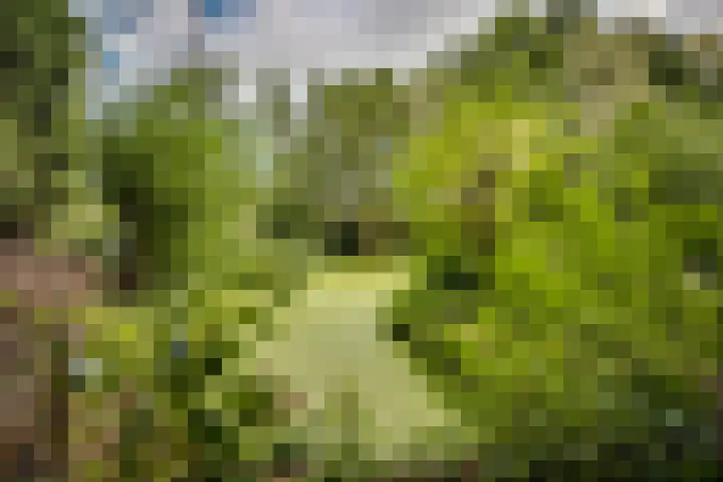 Gansoyen 39 Drongelen thumbnail 71