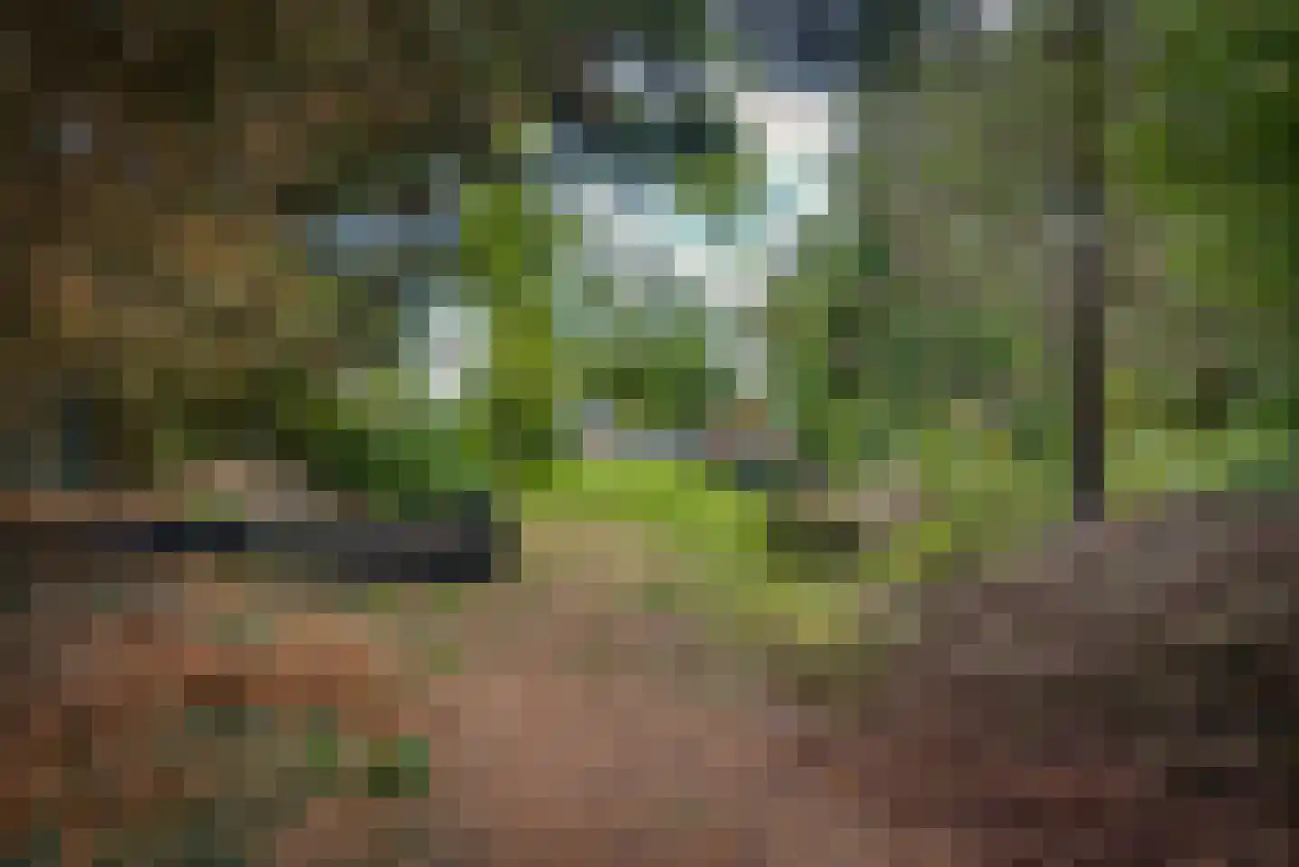 Gansoyen 39 Drongelen thumbnail 72