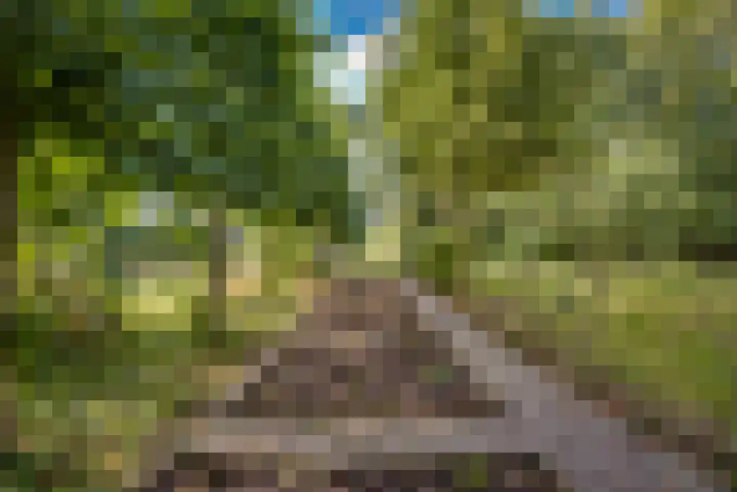 Gansoyen 39 Drongelen thumbnail 73