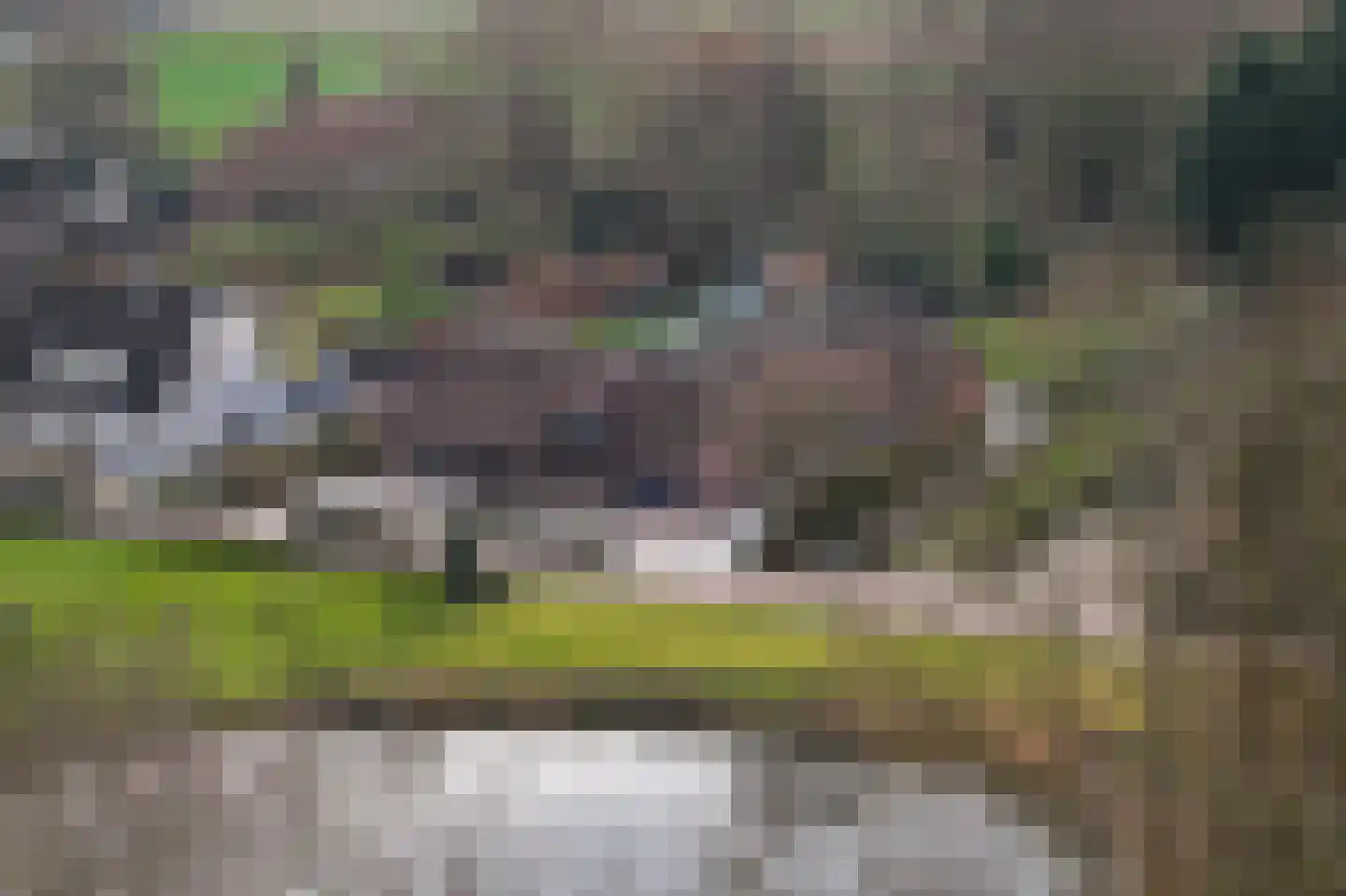 Gansoyen 39 Drongelen thumbnail 80