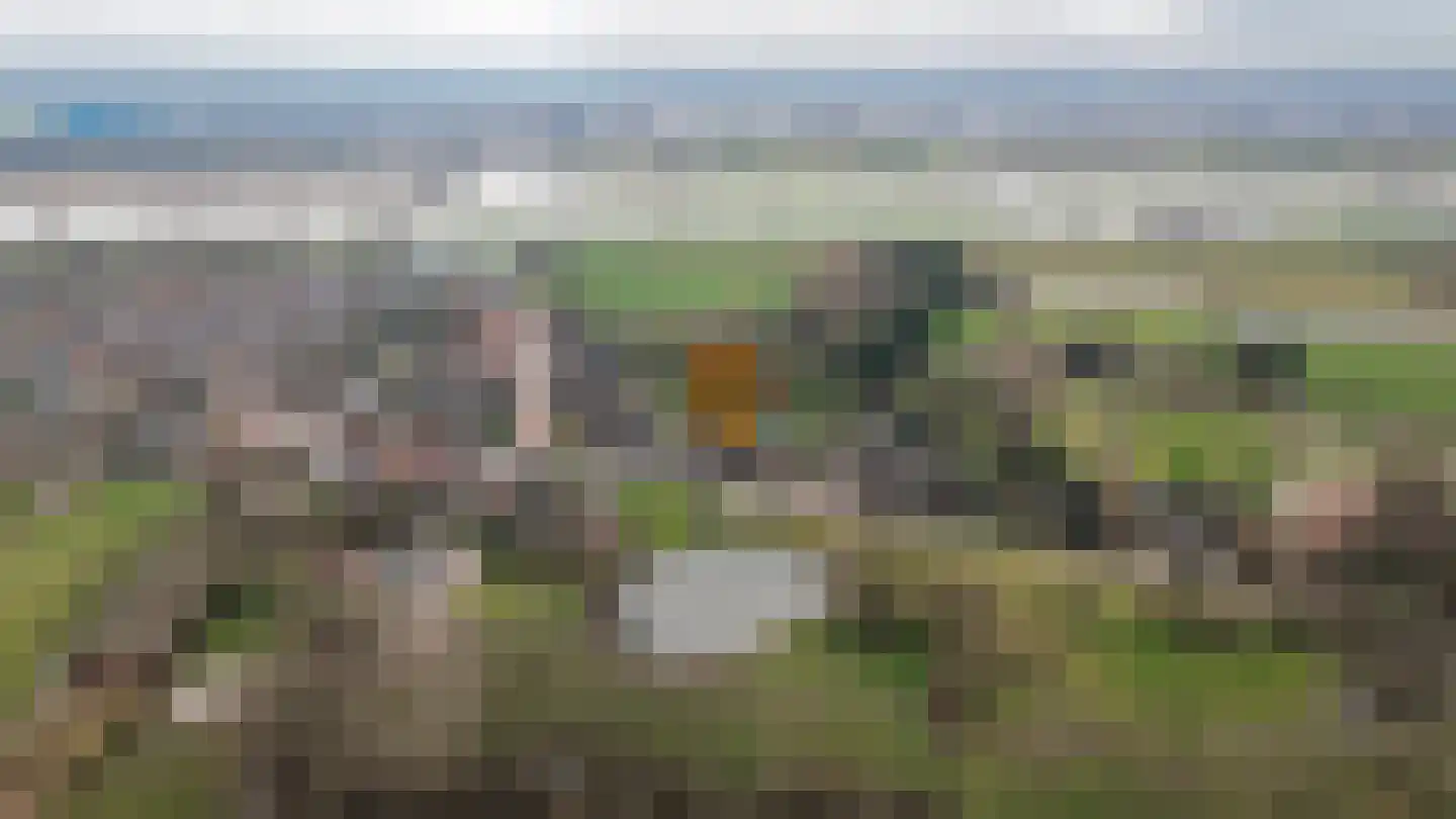 Gansoyen 39 Drongelen thumbnail 81