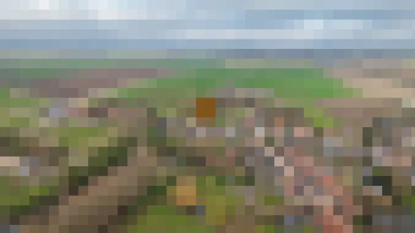 Gansoyen 39 Drongelen thumbnail 82