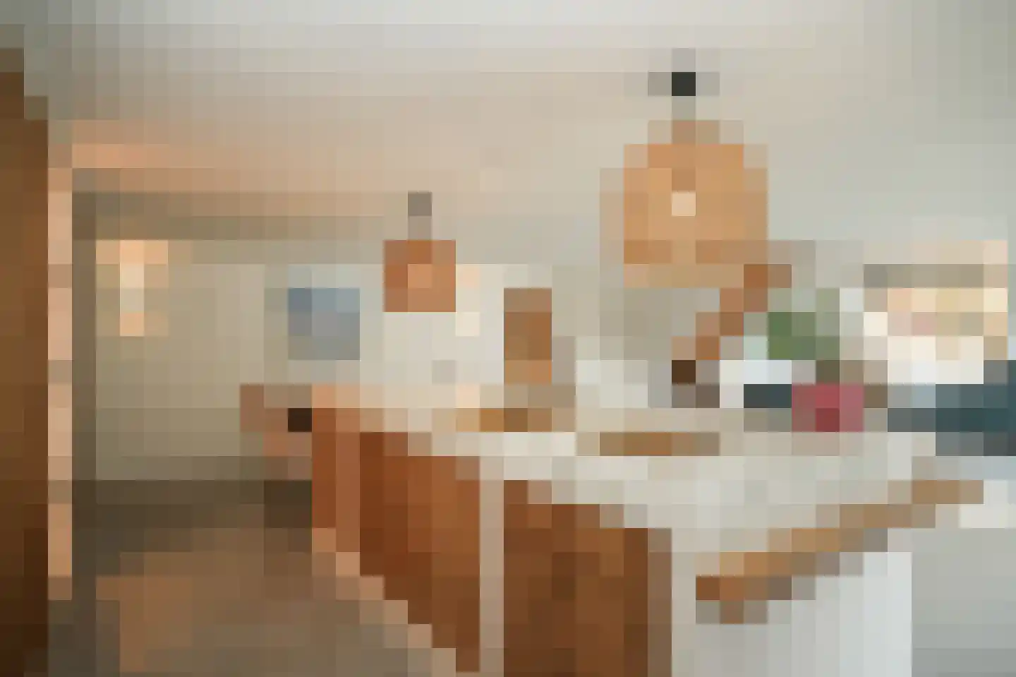 Gansoyen 39 Drongelen thumbnail 9