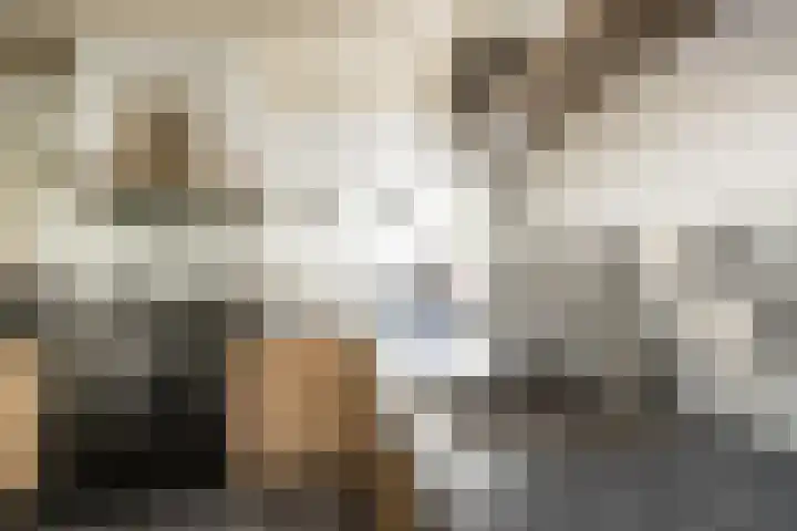Gansoyen 49 Drongelen thumbnail 12