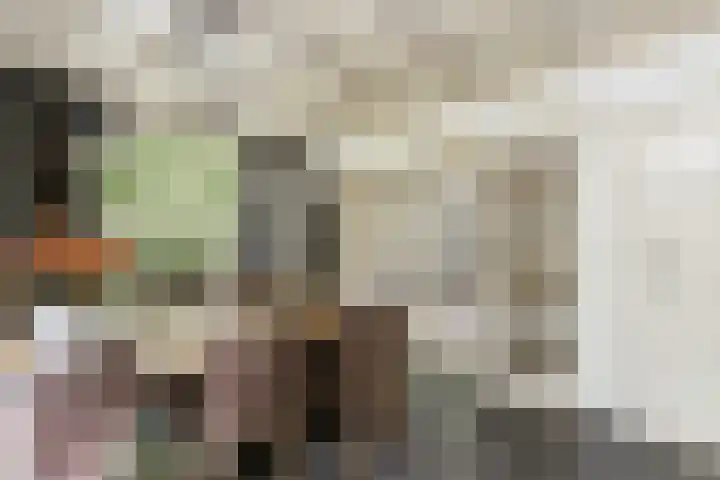 Gansoyen 49 Drongelen thumbnail 13