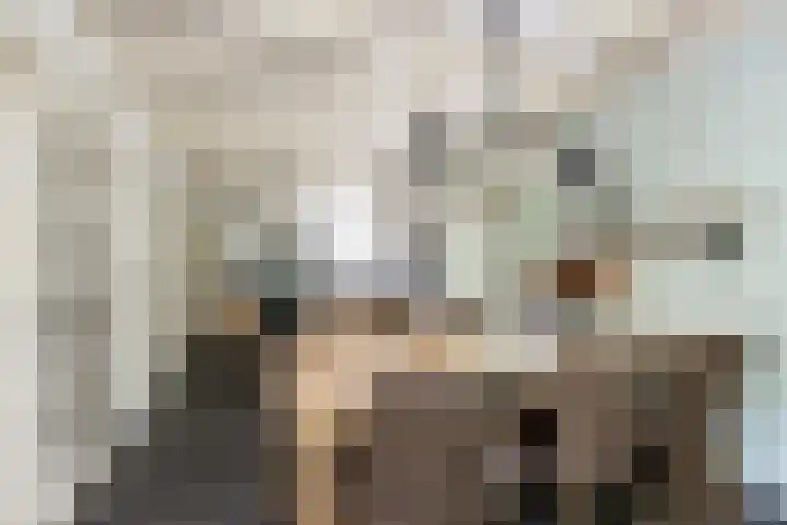 Gansoyen 49 Drongelen thumbnail 14