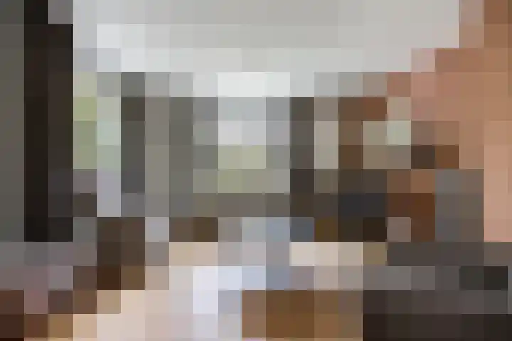 Gansoyen 49 Drongelen thumbnail 15