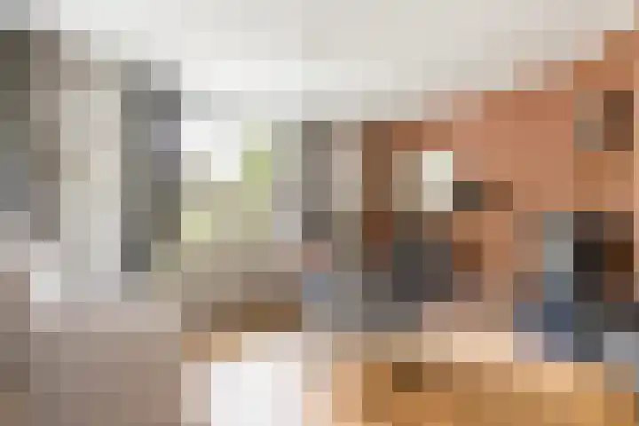 Gansoyen 49 Drongelen thumbnail 16