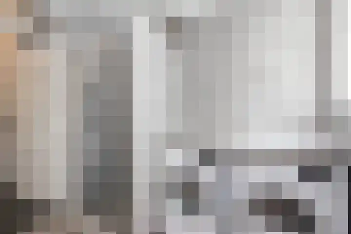 Gansoyen 49 Drongelen thumbnail 24