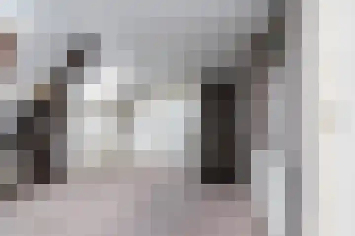 Gansoyen 49 Drongelen thumbnail 26