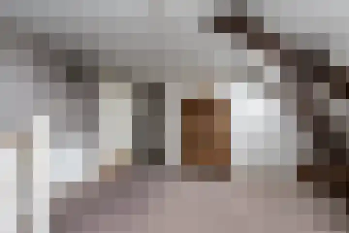Gansoyen 49 Drongelen thumbnail 27
