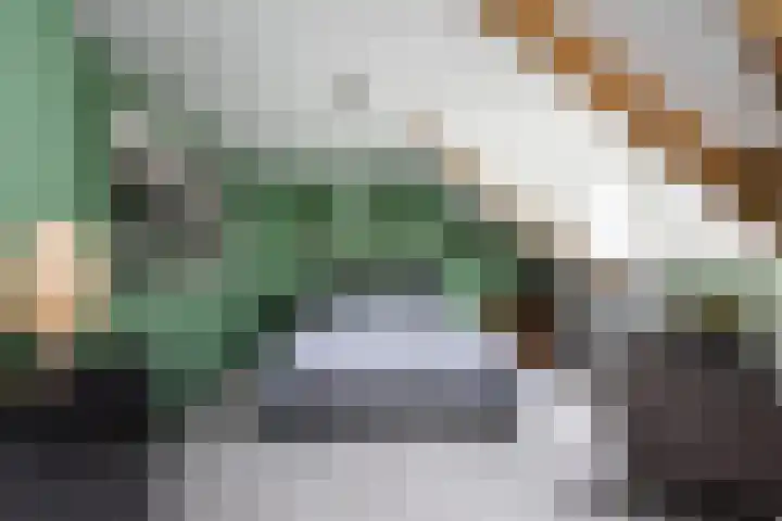 Gansoyen 49 Drongelen thumbnail 28