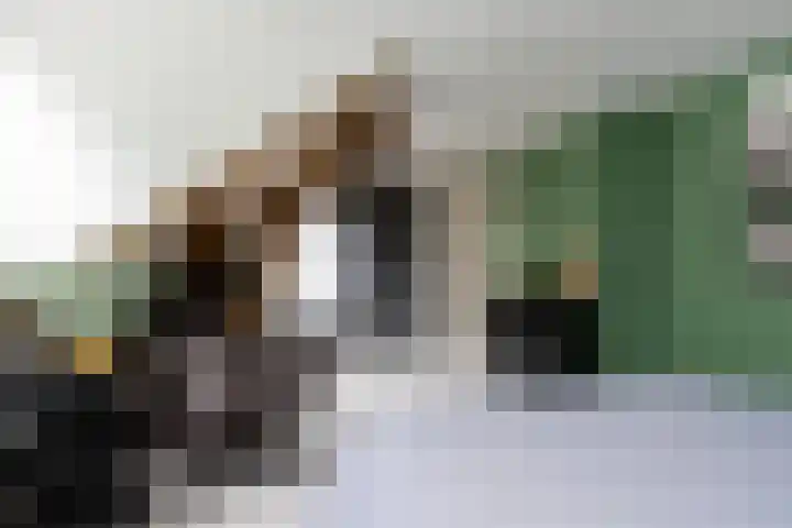 Gansoyen 49 Drongelen thumbnail 29