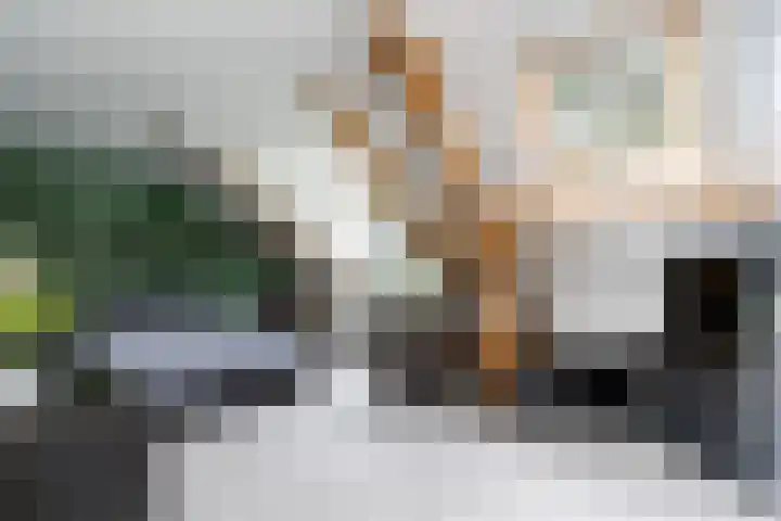 Gansoyen 49 Drongelen thumbnail 30