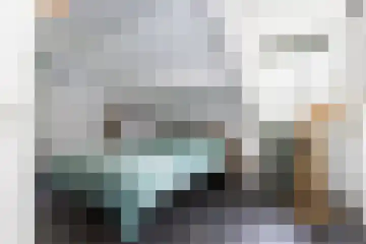 Gansoyen 49 Drongelen thumbnail 31