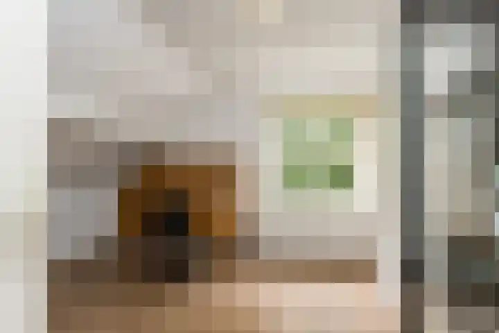 Gansoyen 49 Drongelen thumbnail 34