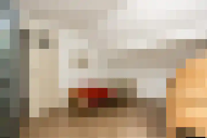 Gansoyen 49 Drongelen thumbnail 35