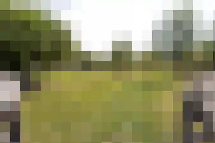 Gansoyen 49 Drongelen thumbnail 36