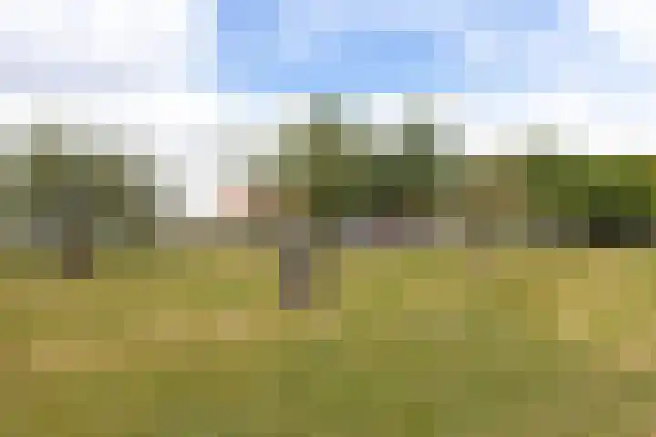 Gansoyen 49 Drongelen thumbnail 37