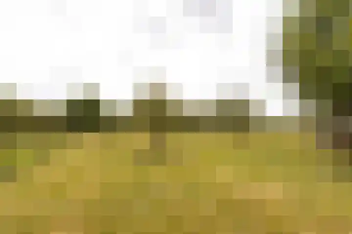Gansoyen 49 Drongelen thumbnail 39