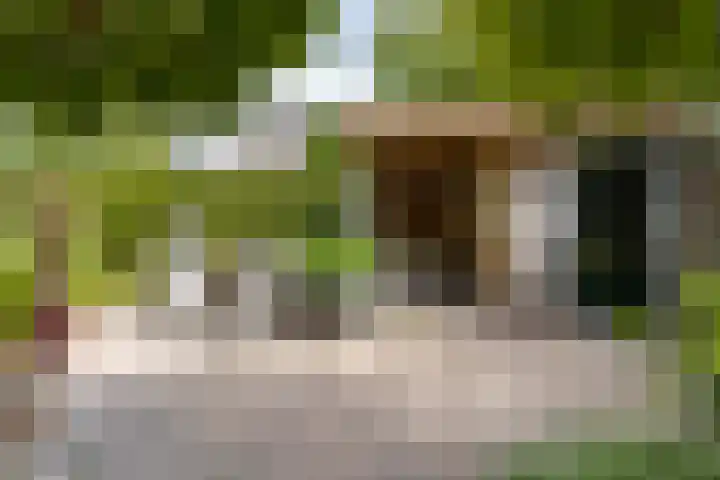 Gansoyen 49 Drongelen thumbnail 41