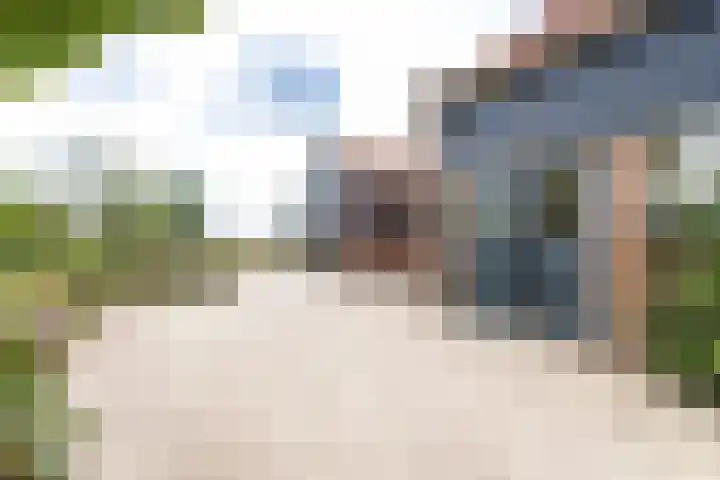 Gansoyen 49 Drongelen thumbnail 43