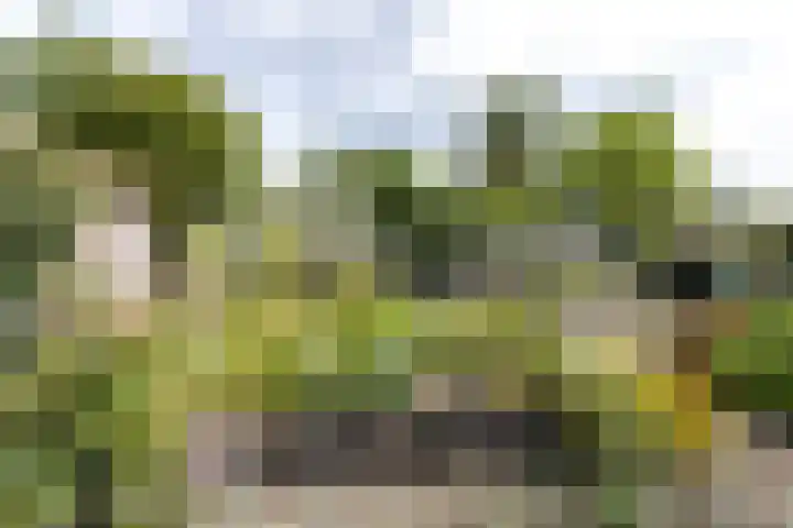 Gansoyen 49 Drongelen thumbnail 44