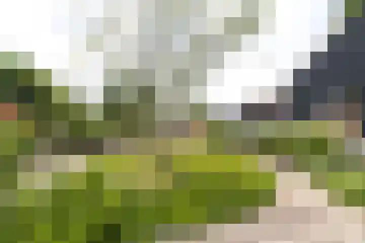 Gansoyen 49 Drongelen thumbnail 45