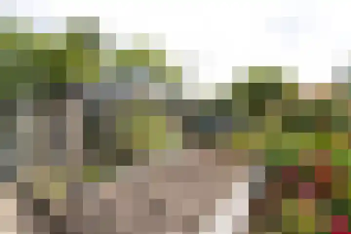 Gansoyen 49 Drongelen thumbnail 46