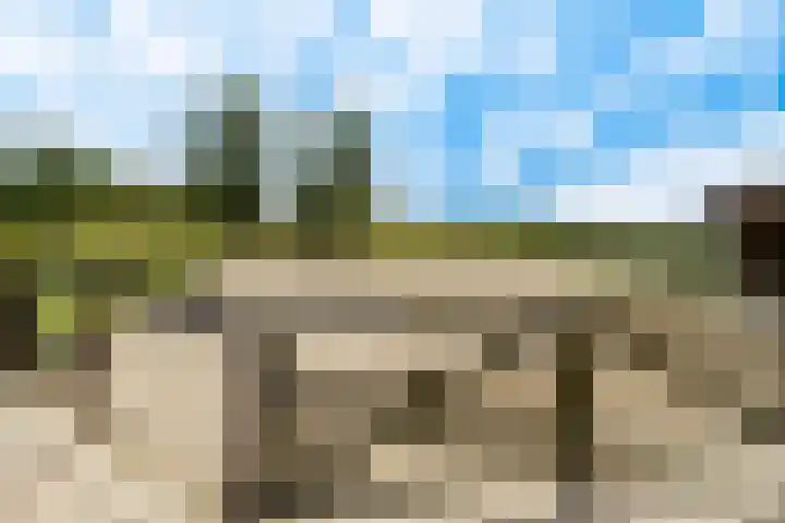 Gansoyen 49 Drongelen thumbnail 48