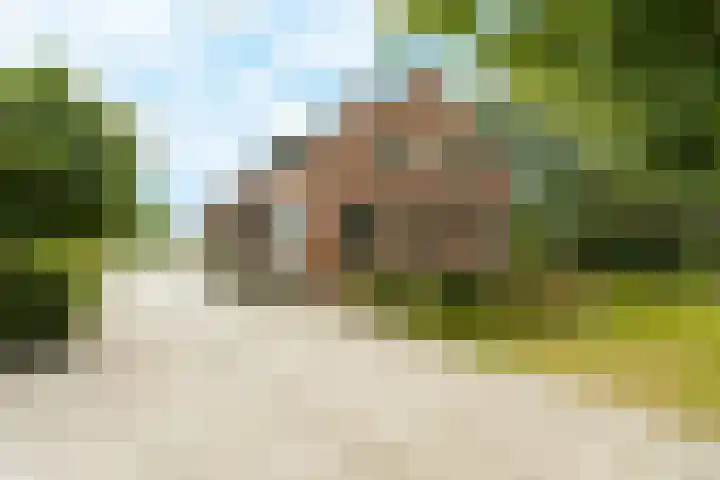 Gansoyen 49 Drongelen thumbnail 5