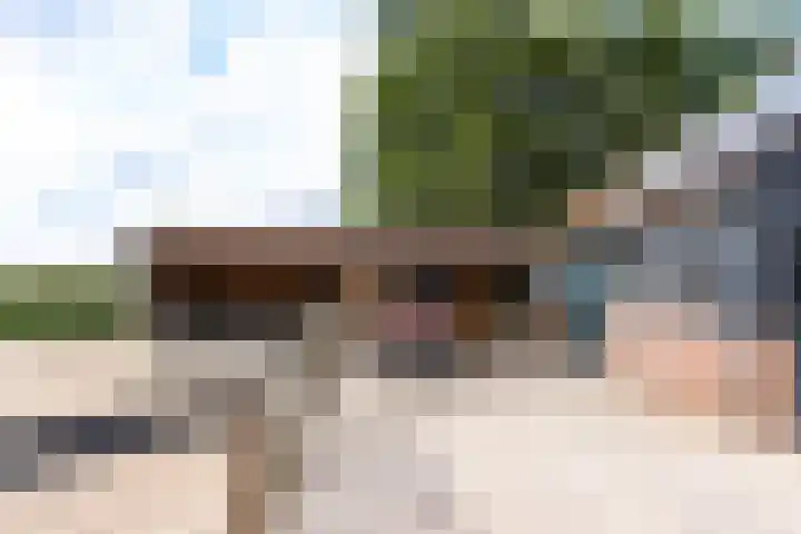 Gansoyen 49 Drongelen thumbnail 50