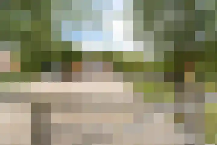 Gansoyen 49 Drongelen thumbnail 51
