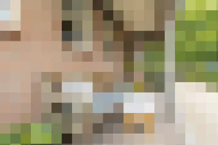 Gansoyen 49 Drongelen thumbnail 52
