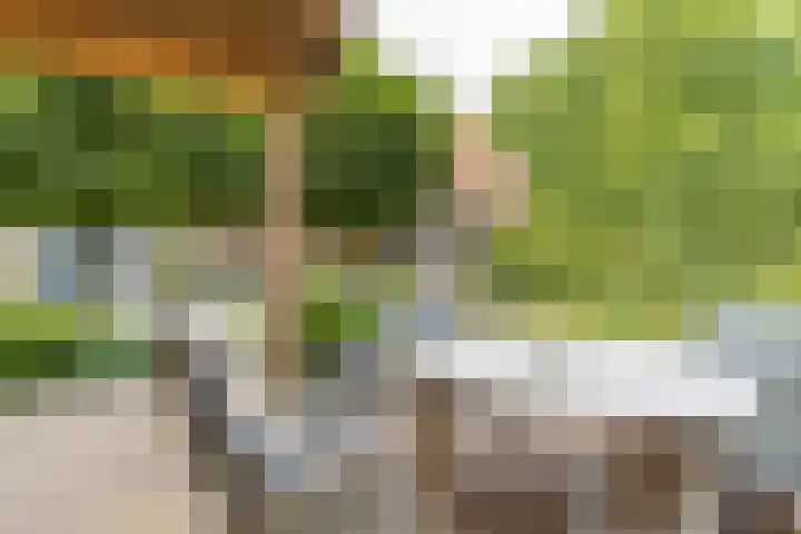 Gansoyen 49 Drongelen thumbnail 53