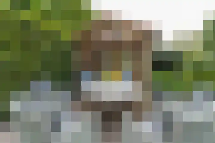 Gansoyen 49 Drongelen thumbnail 54