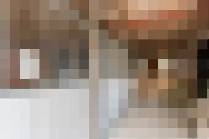 Gansoyen 49 Drongelen thumbnail 55