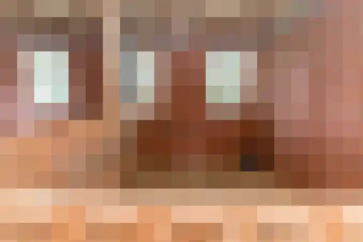 Gansoyen 49 Drongelen thumbnail 56