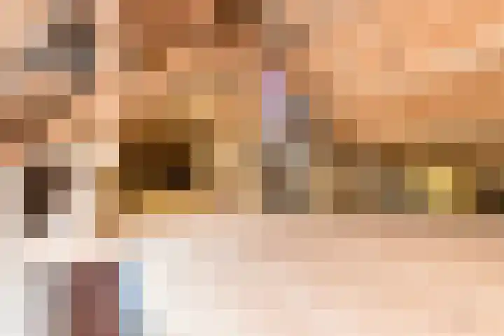 Gansoyen 49 Drongelen thumbnail 57