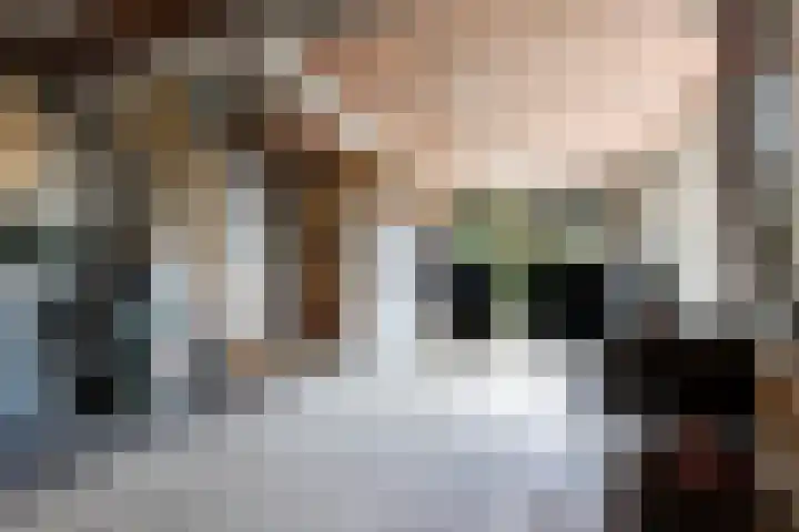 Gansoyen 49 Drongelen thumbnail 58