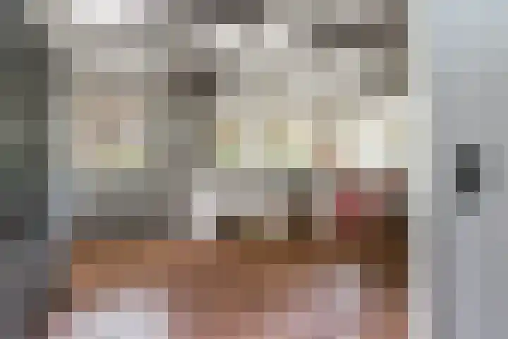 Gansoyen 49 Drongelen thumbnail 6