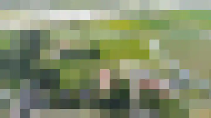 Gansoyen 49 Drongelen thumbnail 60