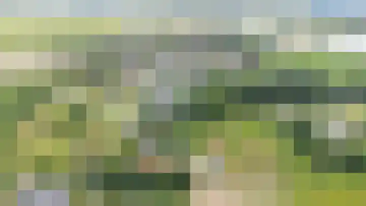 Gansoyen 49 Drongelen thumbnail 61