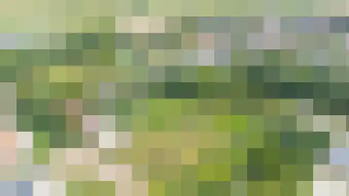 Gansoyen 49 Drongelen thumbnail 62