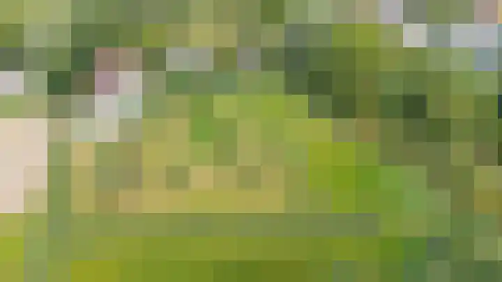 Gansoyen 49 Drongelen thumbnail 63
